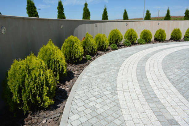 Best Concrete Paver Driveway  in Dumas, AR